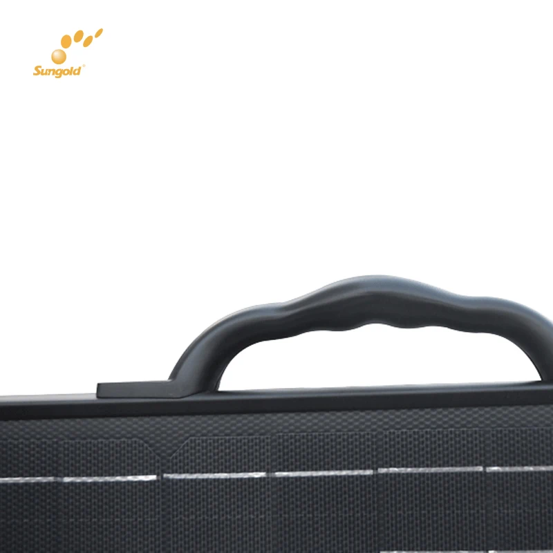  80W 80 Watt Price 5W Small 50W Panels 40W Garden Light Foldable Solar