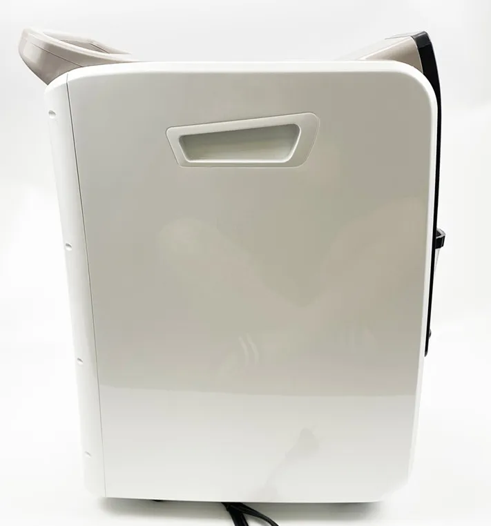 Selling products Medical oxygen concentrator  price with nebulizer function 0-10L/min  Chinese manufacturers oxygenerator