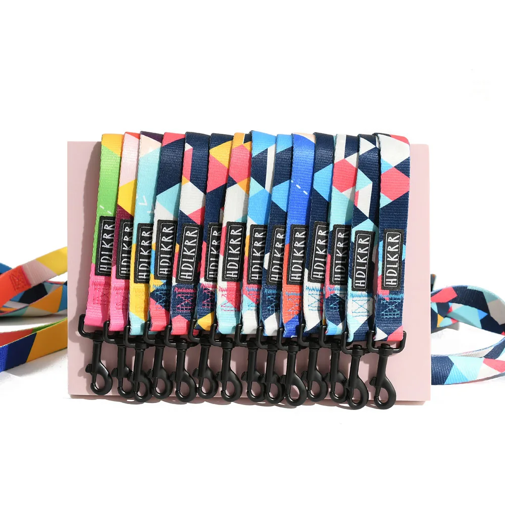 Saiji custom private label with packing box adjustable outdoor walking plain nylon pet dog collar leash