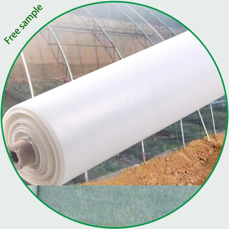 Transparent Greenhouse Film Uv Resistant Film 200 Micron Greenhouse Plastic For Agriculture