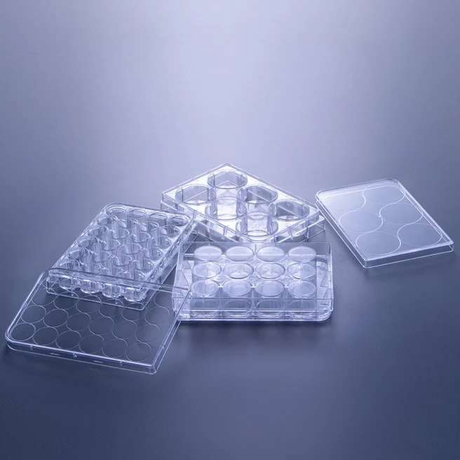 High Quality Cell Cultured Plate Polystyrene Lab Plate Culture Plate 24 Well