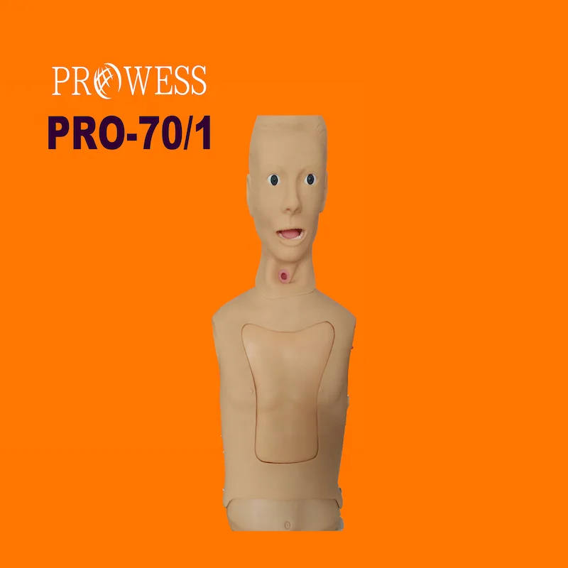 PRO-70/1 Manufacturer advanced silicon nasogastric tube and the trachea model nasogastric fr8 stomach tube teaching simulator