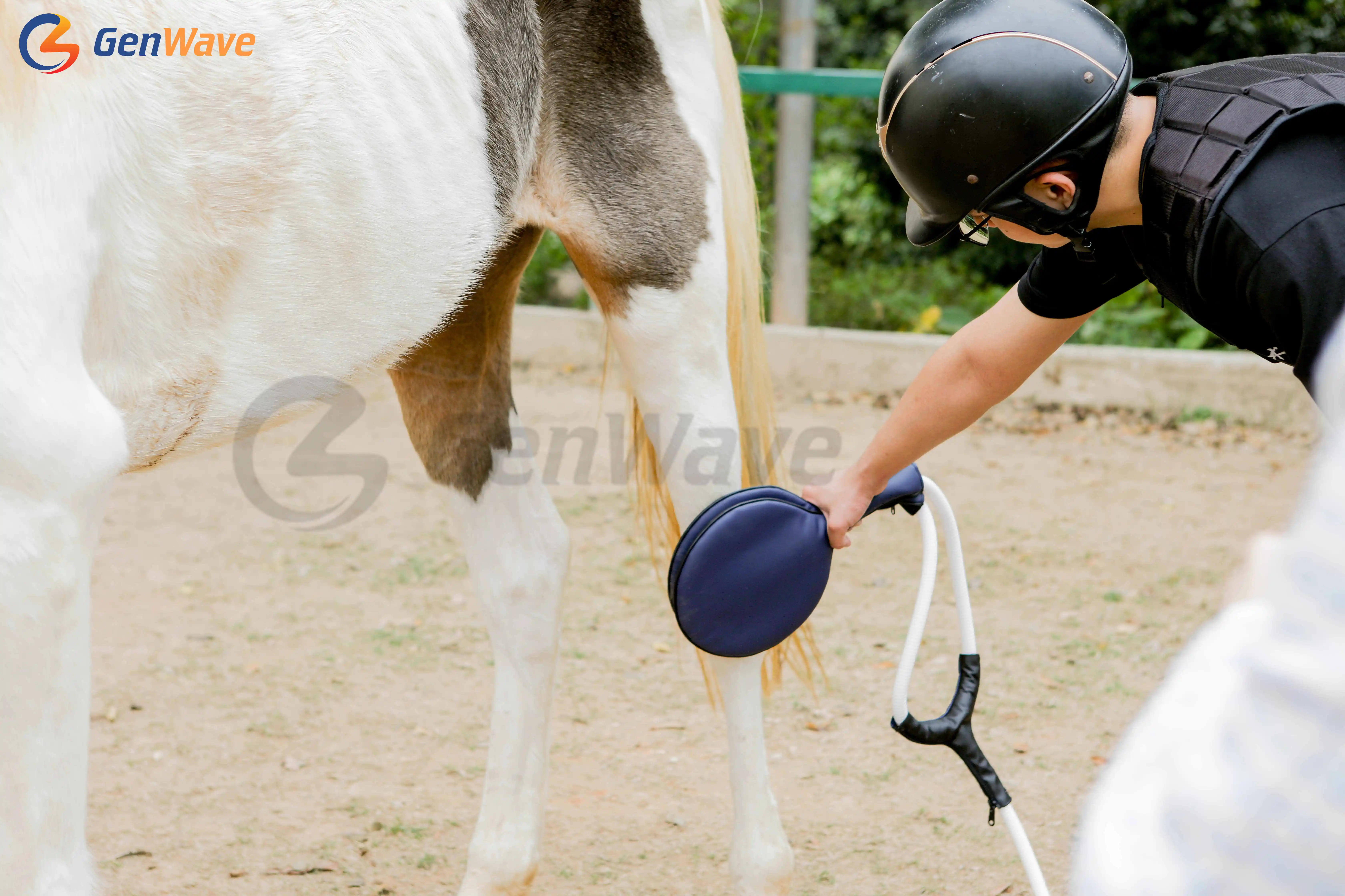 PEMF Magnetic Therapy Device PMST LOOP For Horse Animal Care China PEMF Loop PEMF Mat