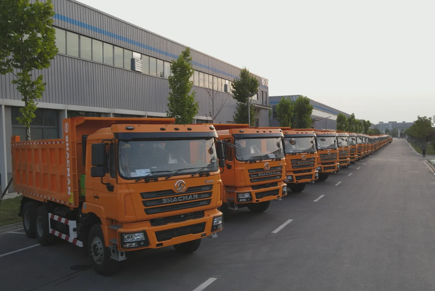 Hot sale 8x4 6x4 Dump Truck 40ton F3000 Tipper Truck with spare parts for hot sale