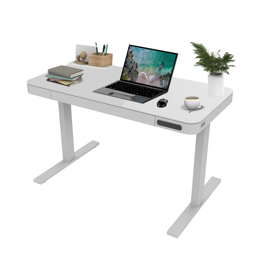 Ergonomic Dual Motor Height Rising Desk Metal Table Sit To Stand Desk Stand Up Standing Computer Desk With Glass Panel