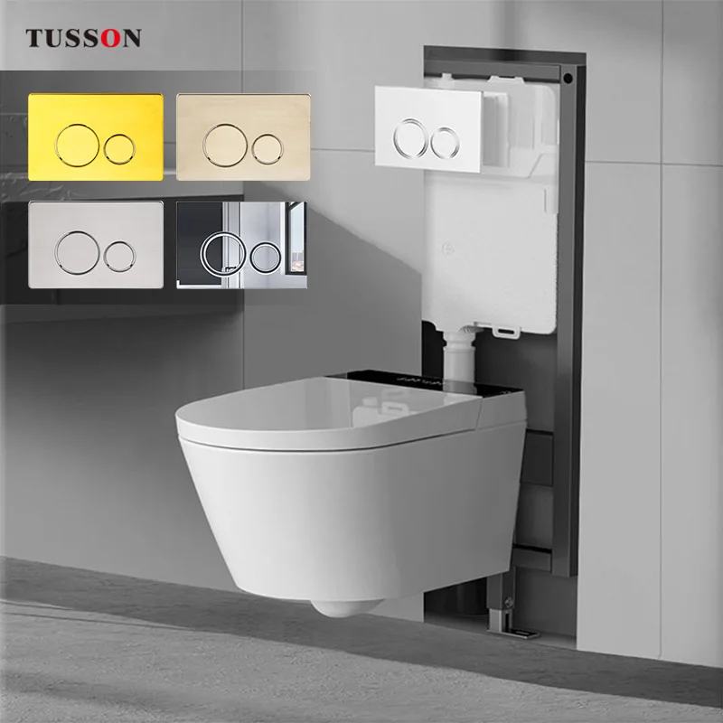 Tusson Concealed Cistern Wall Mounted  with Metal Frame Dual-Flush Panel In Wall Wall Hung  HDPE Plastic Hidden Water Tank