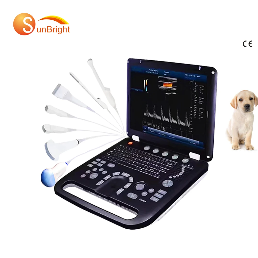 hospital portable color doppler ecograph best price 3D 4D veterinary portable color Doppler ultrasound