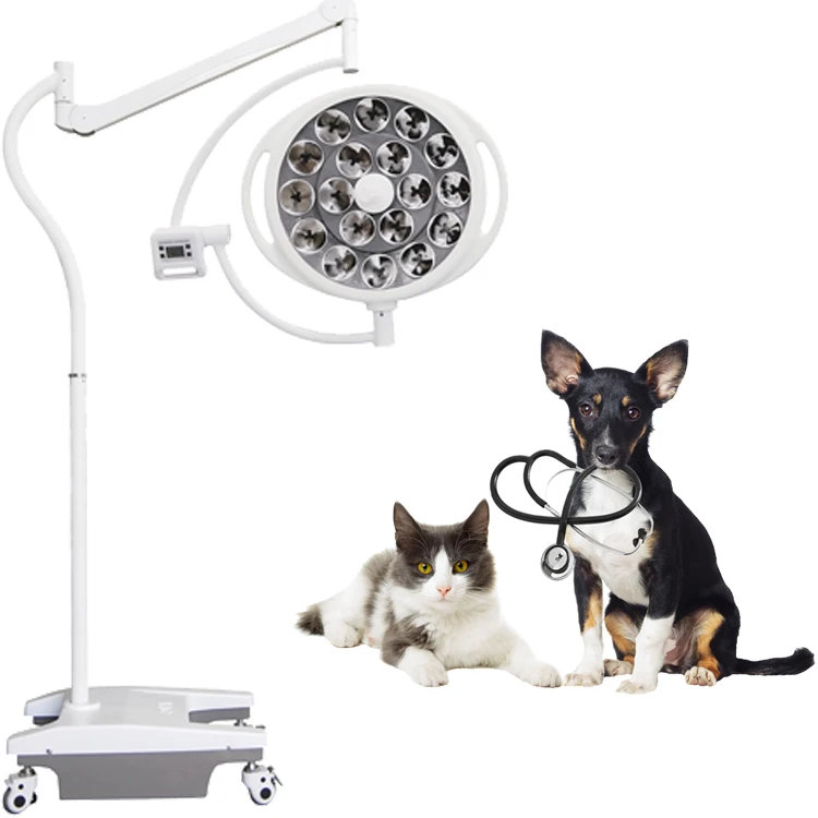 YCLED520L хорошая цена ветеринарная медицинская Операционная кинотеатр светодиодная лампа без тени света Хирургическая Лампа