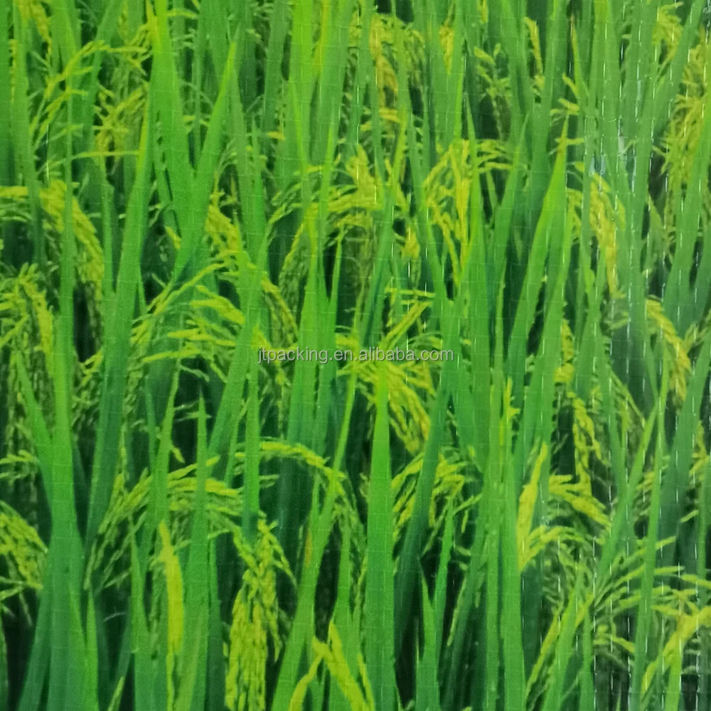 Manufacturer BOPP Transparent Polypropylene Sacks Bags Flour Rice Packing Bag for Rice Grain 5kg 10kg 25kg 50kg