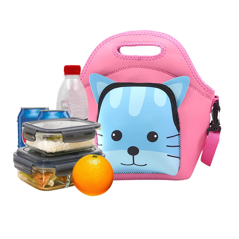 Insulated Travel Cooler Bag Lunch Picnic Tote Bag for Kids and Women