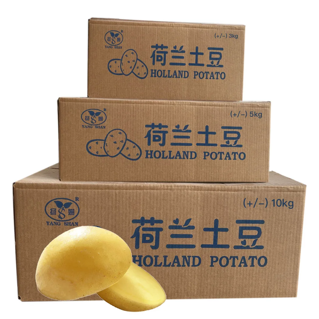 Fresh potatoes  wholesale,new harvest premium selection Holland potato exporter