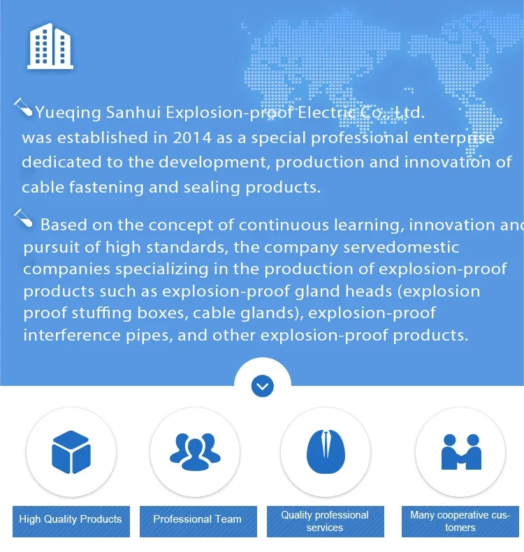 Company Profile.png