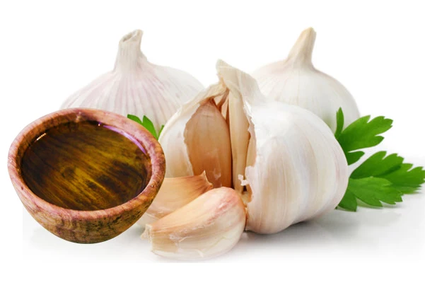 Inquiry Has Preferential Factory Direct Sales 100% Pure Natural Garlic Oil Bulk Black Garlic Essential Oil Wholesale Price