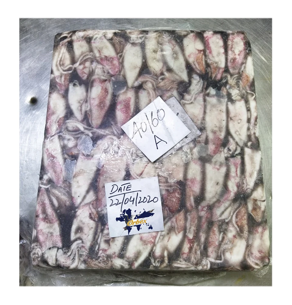 
Frozen Loligo Squid Block 