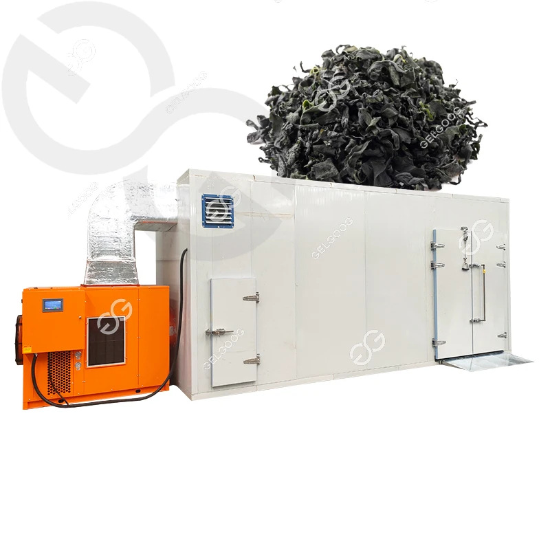 Gelgoog Industrial Drying Fruit Passion Fruit Machine Equipment For Dry Fruits Manufacturer