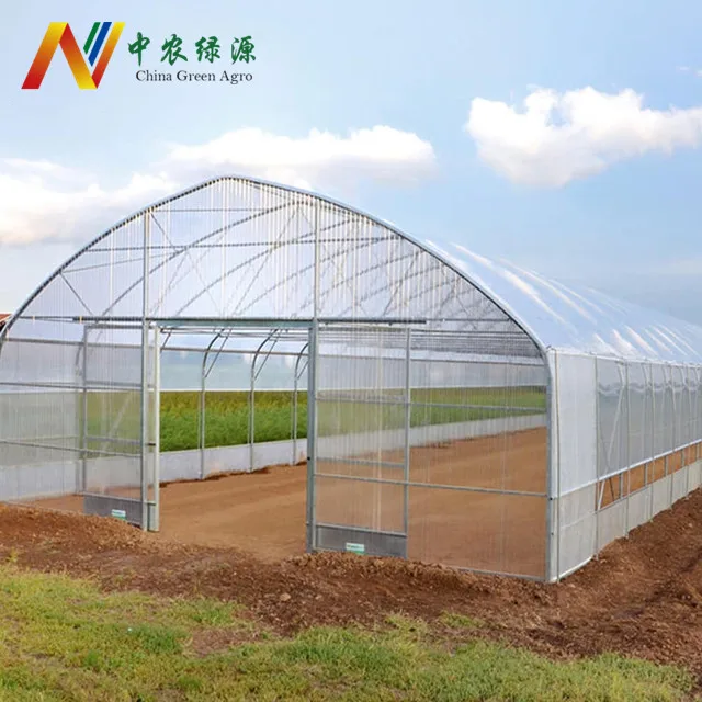 Easy Single Span plastic film Tunnel Greenhouse for Commercial