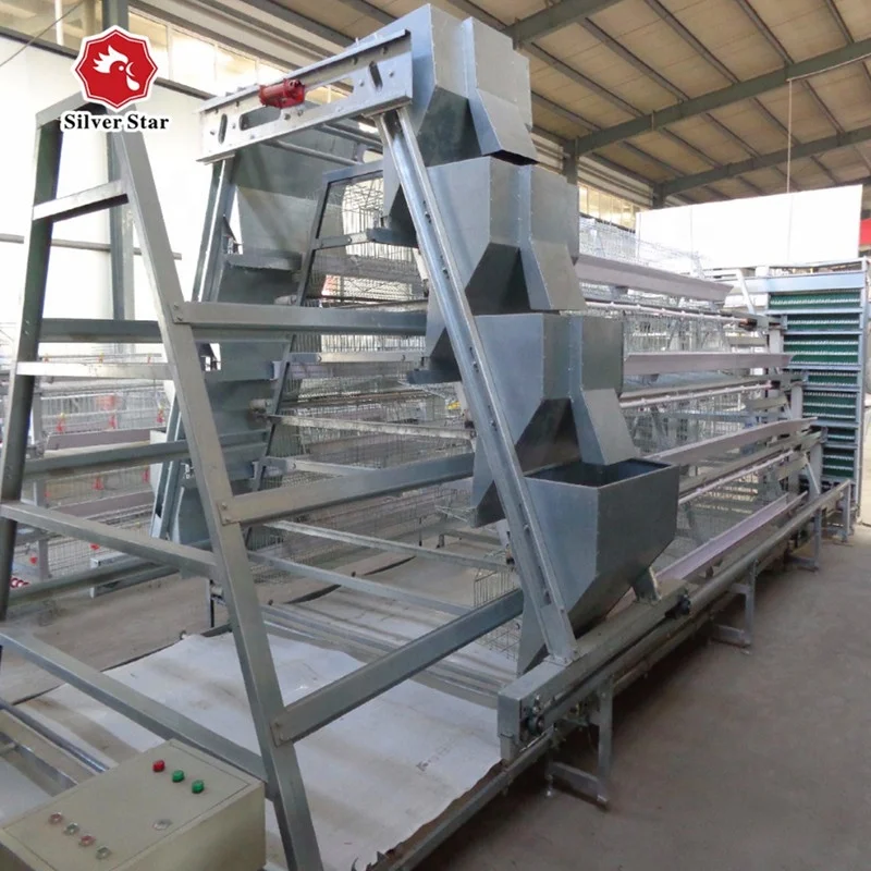 Automatic Feeding Machine For Layer Cages.jpg