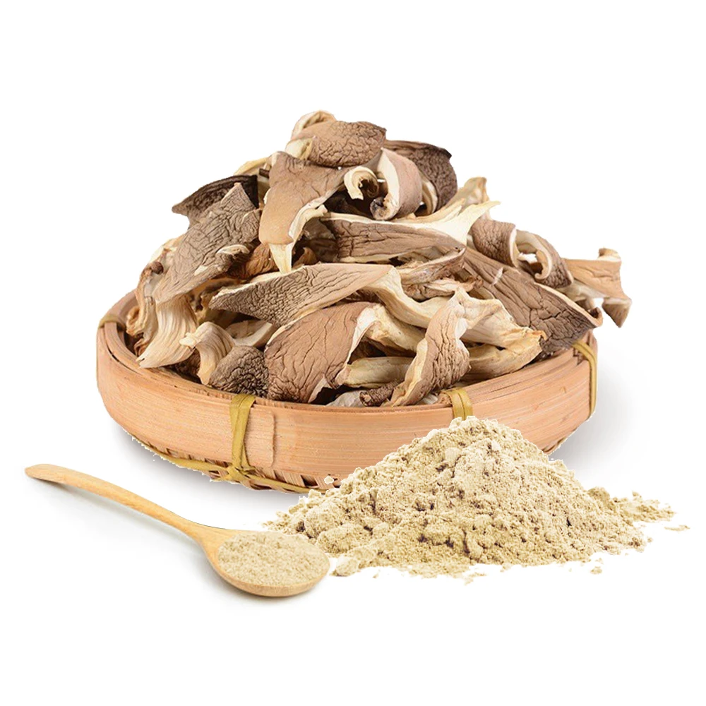 100% Oyster Mushroom Extract Powder for Wholesale