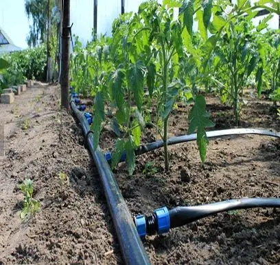 2024 hot sale China factory irrigation hose  irrig system 1 Hectare Model Agriculture drip Irrigation tape system farm drip tape