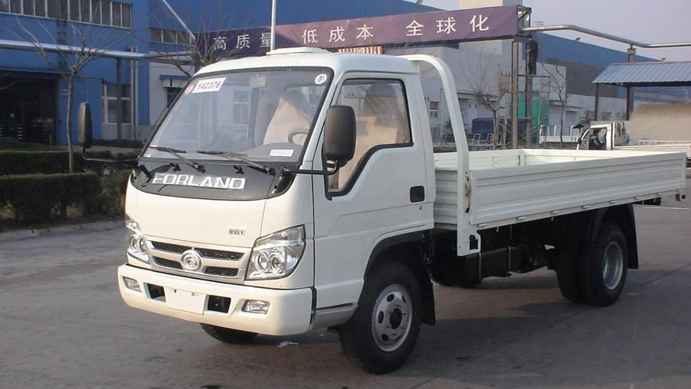 FORLAND 2-3tons diesel truck with Euro 1 diesel engine, single cabin and 4.2m longer cargo body