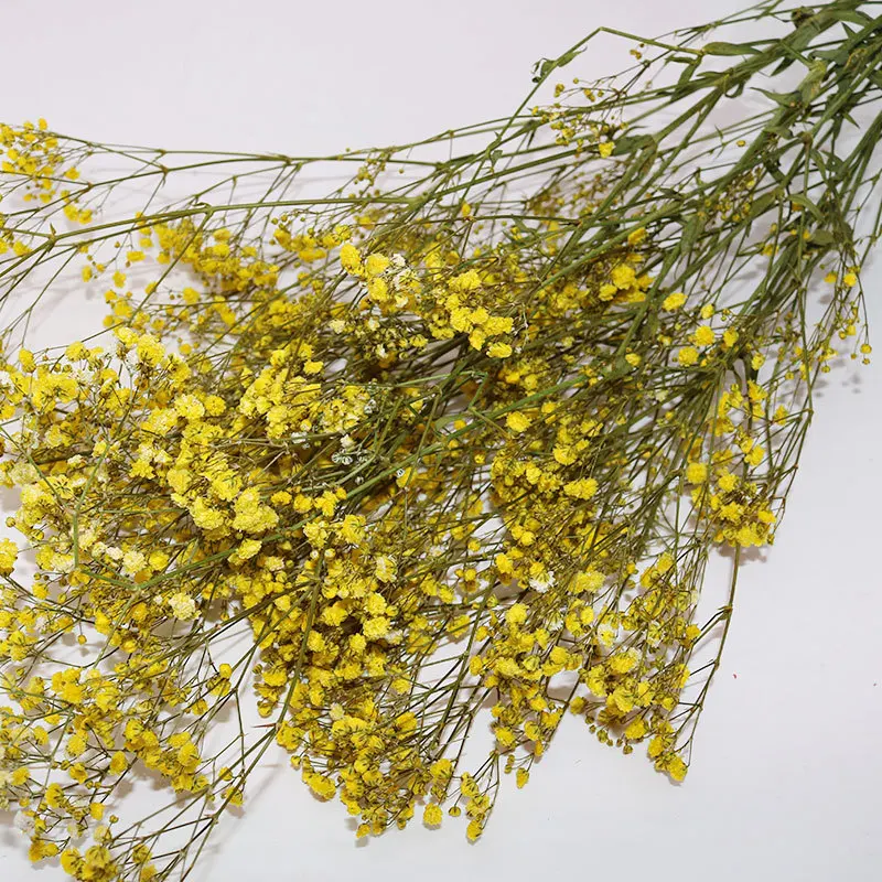  Домашний декор красивый красочный цветок babysbreath gysophila сохраненный гироскопиальный свадебное