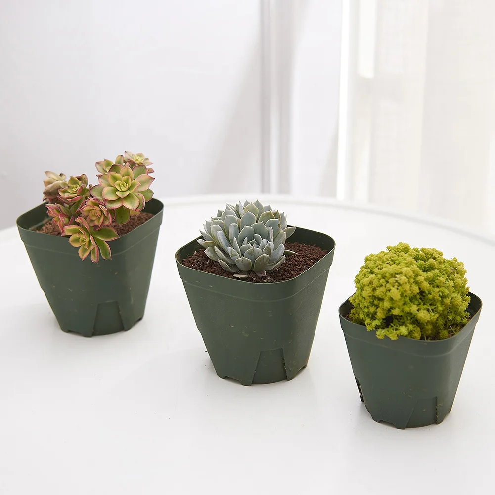 Оптовая продажа дешевый круглый квадратный пластиковый горшок для цветов