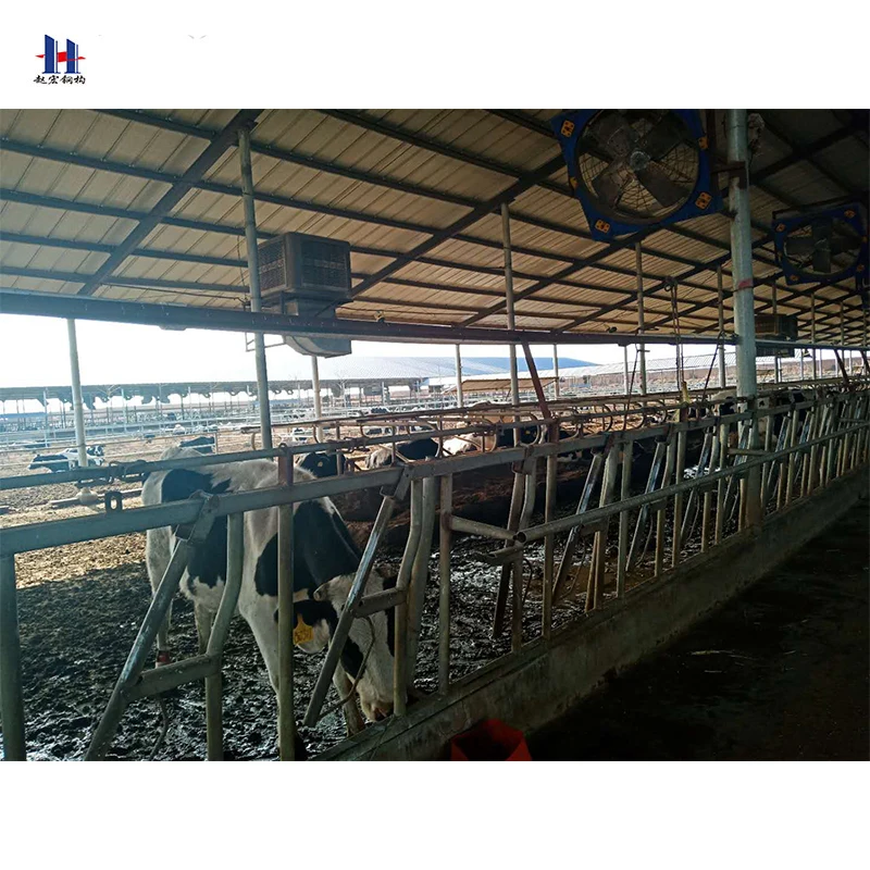 
Professional factory supply Prefabricated steel structure sheep farm shed with CAD design 