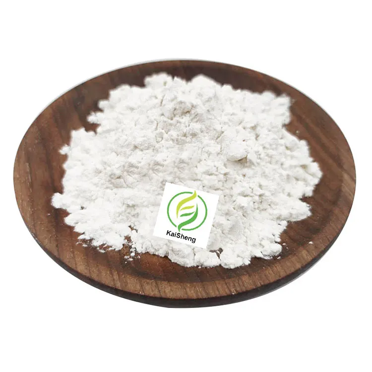 Wholesale Bulk Chicory Root Powder Supply Best Price Organic Inulin Powder 90% Inulin