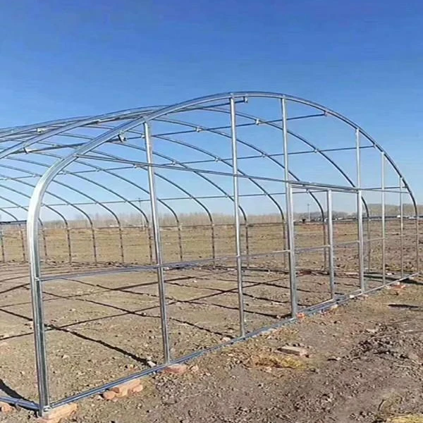 Single-Span Agricultural polycarbonate sheet greenhouse with galvanized welded steel pipe