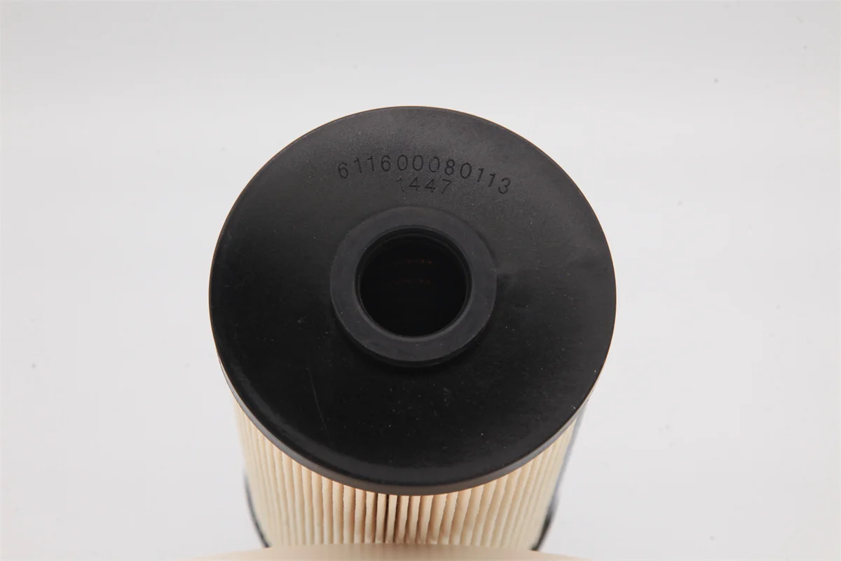 Truck spin-on fuel filter element Fuel filter element 611600080113 Fuel filter element 1001362240