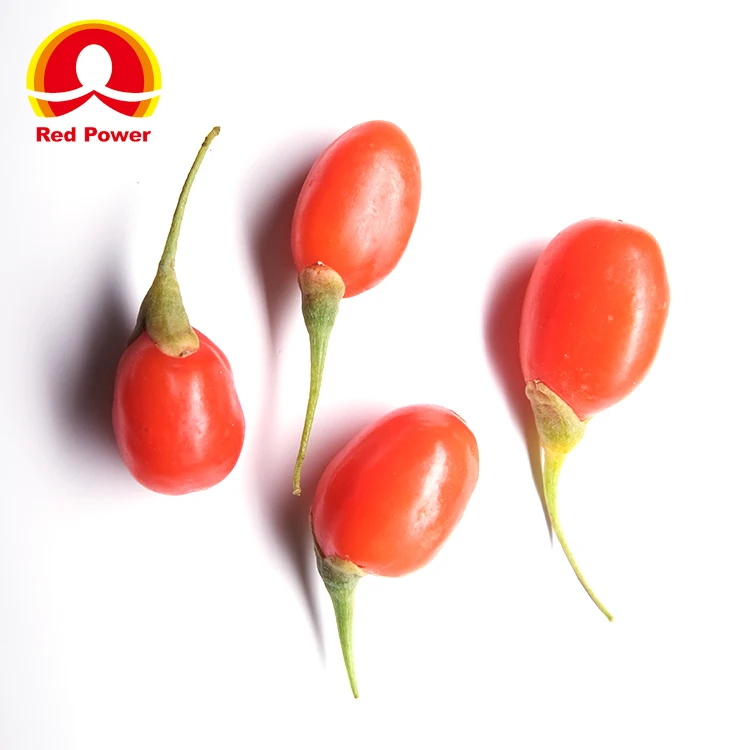 Свежие волчьи ягоды ningxia Red Power QIZITO по цене волчьих