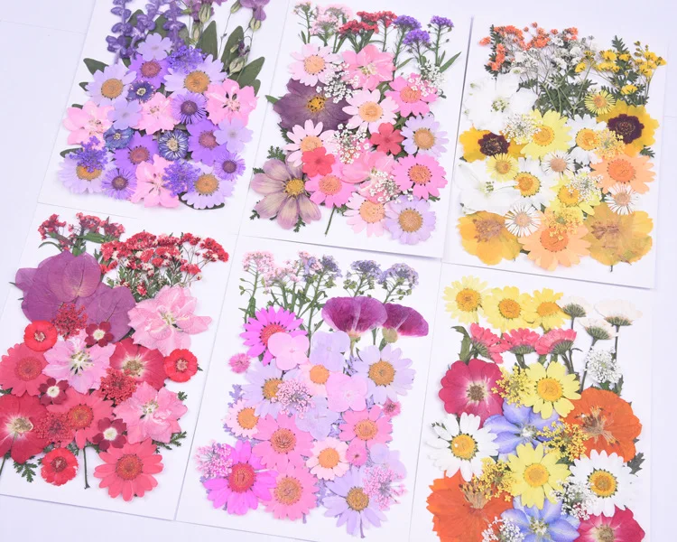 New Flower Decoration  Material Bag Diy Hand Drop Glue Resin Mobile Phone Case Photo Frame Dried  Dried Flowers And Plants
