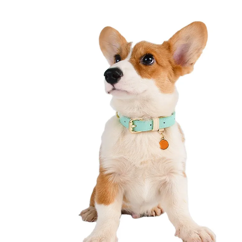 Waterproof Luxury Dog Collar Leather Adjustable Metal Buckle Custom Leather Pet Cat Dog Collar & Lead Wholesales