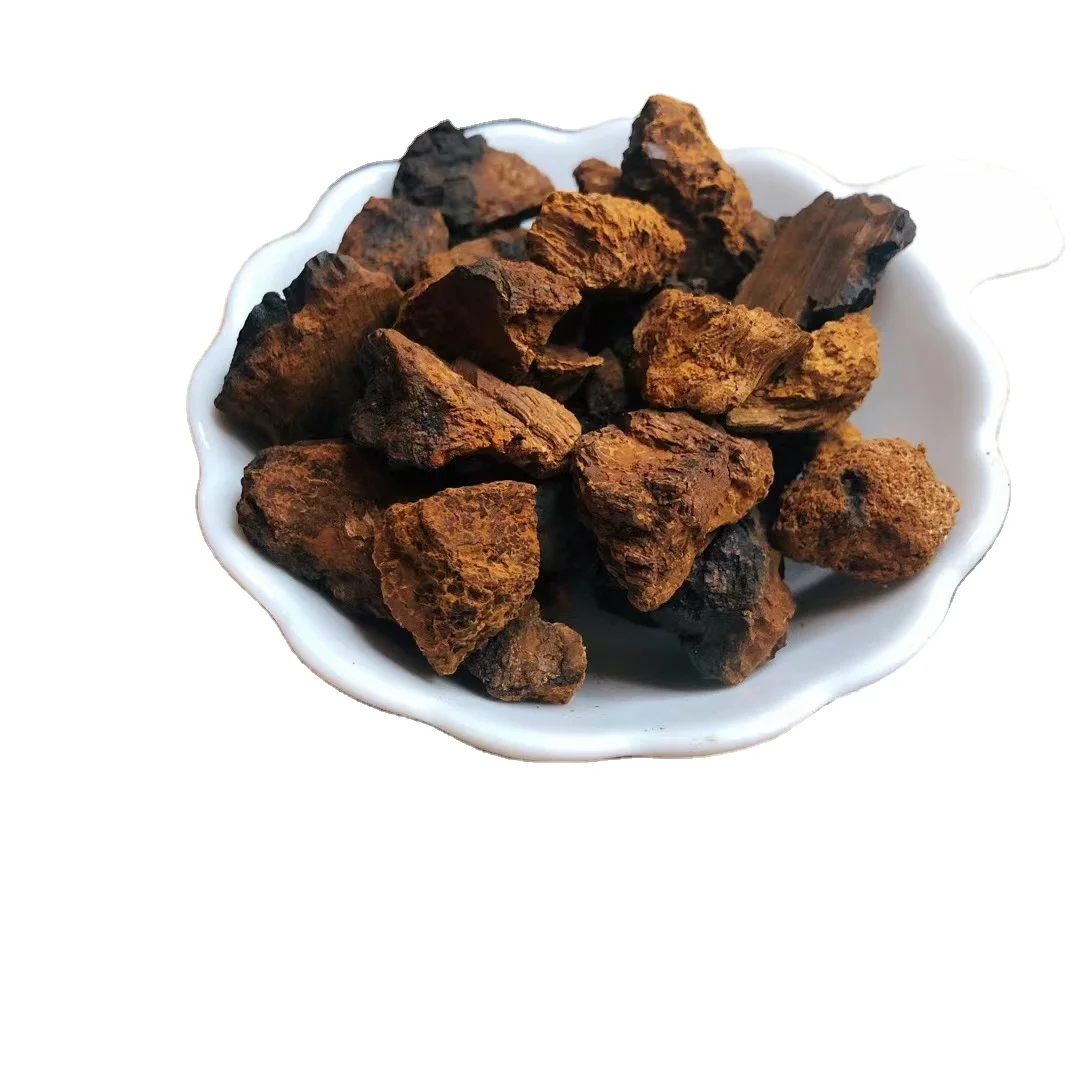 Чага-Chaga-Сибирский экстракт Ganoderma-березовый гриб