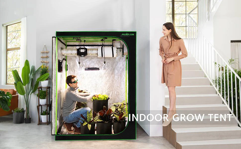 Factory Greenhouse Vegetable Kit Custom Hydroponic 5x5 240x120x200 Growing Tent Big