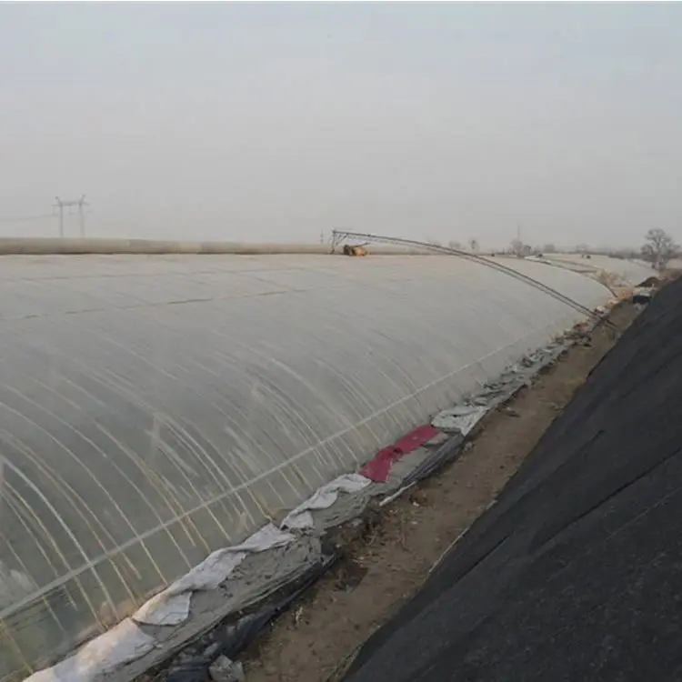 Superior Quality Low Cost Agricultural Greenhouses Mini Plastic Film Greenhouse