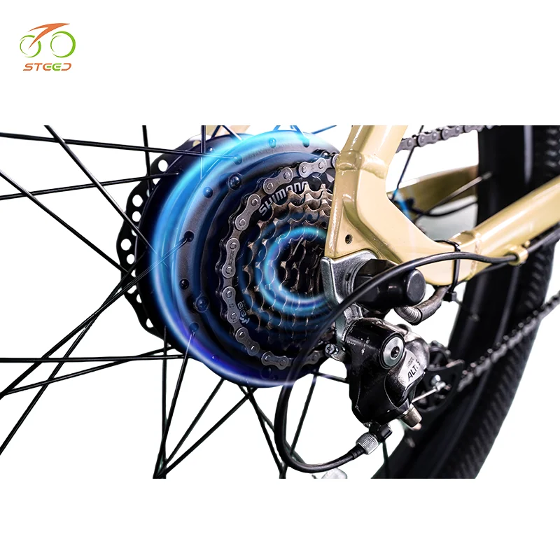 Steed 250w smart bicycle lock battery china electric bicycle price for adults electric folding bicycle