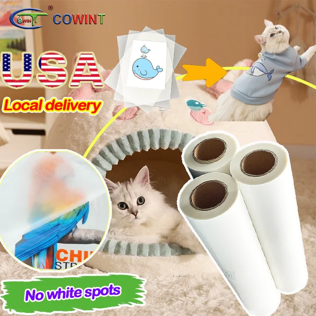 Cowint Dtf-film for Dtf-film with Donguan Suitable Meters Birthday Prints Pes Baysoon Bn 302li Manufacture Direkt Auf Dtf-film