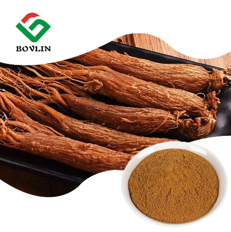 Экстракт порошка корня корейского красного женьшеня Panax