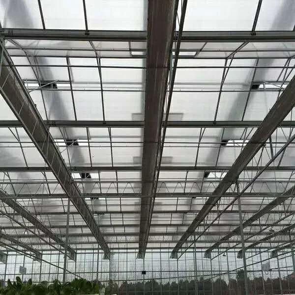 Glass/Polycarbonate Sheet Greenhouse As Ecological Restaurant