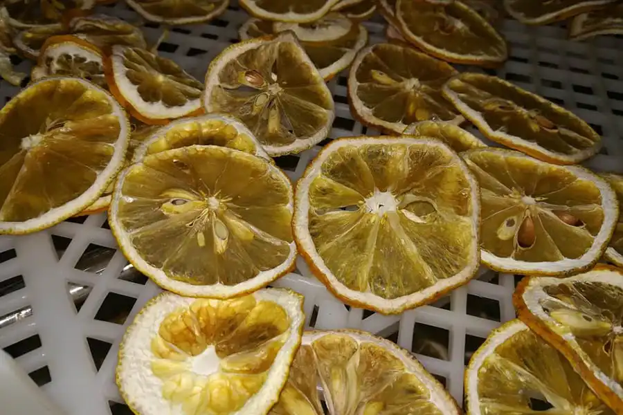 Hot air circulation high efficiency turmeric drying machine food fruit fish meat drying oven machine for sale