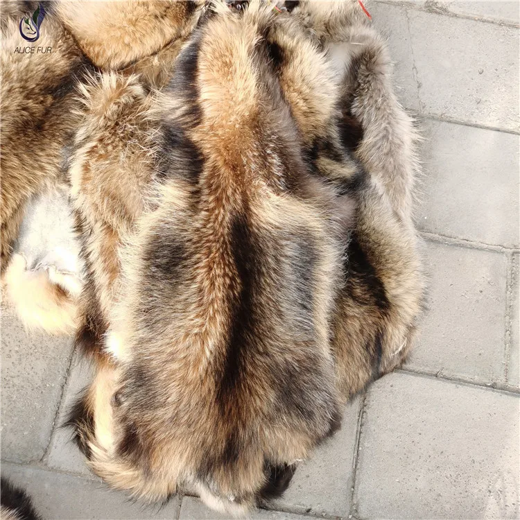 raccoon pelt (2).jpg