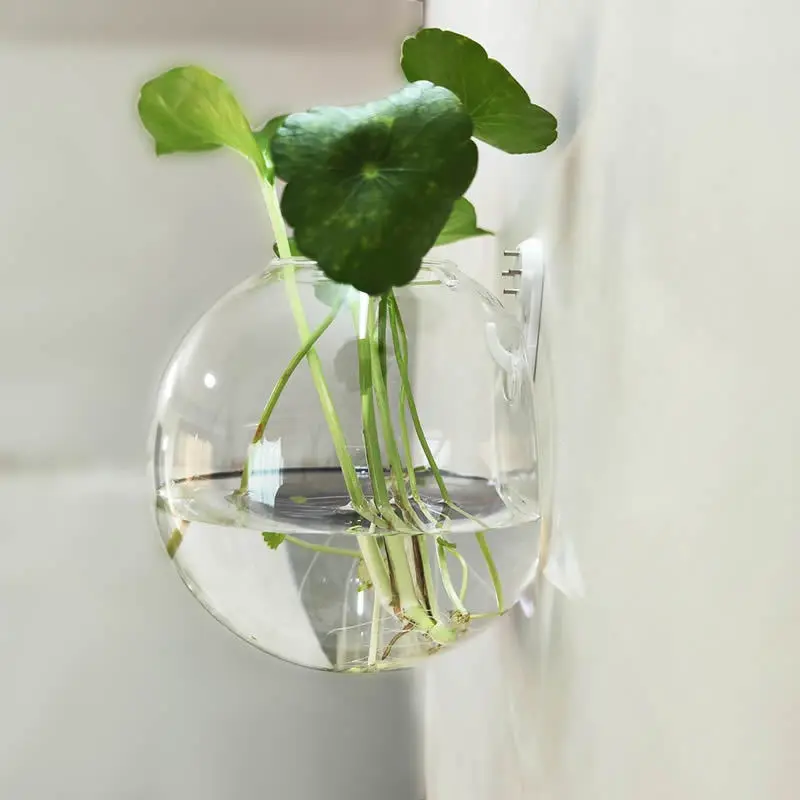 Handmade Hanging Wall Glass Creative wall hanging glass vase Hydroponic plant vase Home wall vase