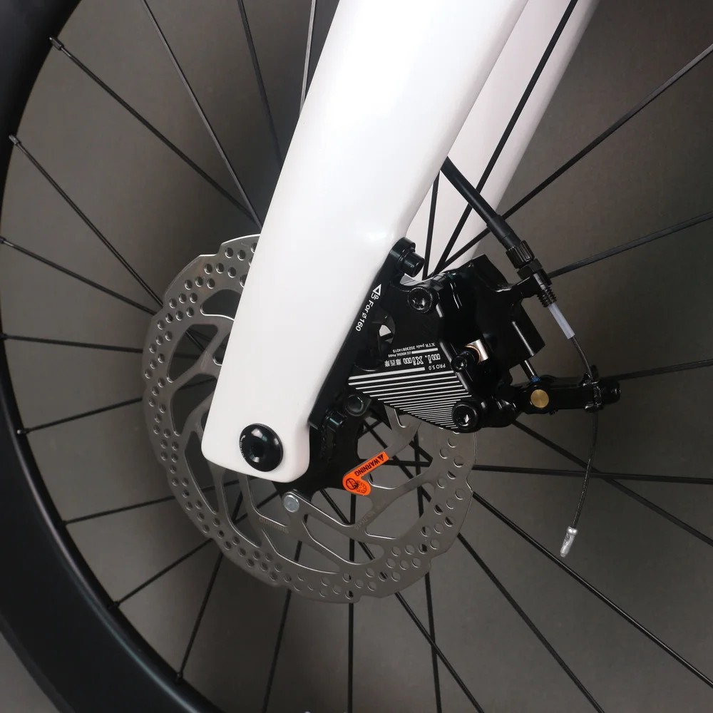 Time Trial Triathlon Complete Bike FM-TT912 Disc TT Bicycle ultegra R8000 Groupset Carbon Wheelset 22 Speed