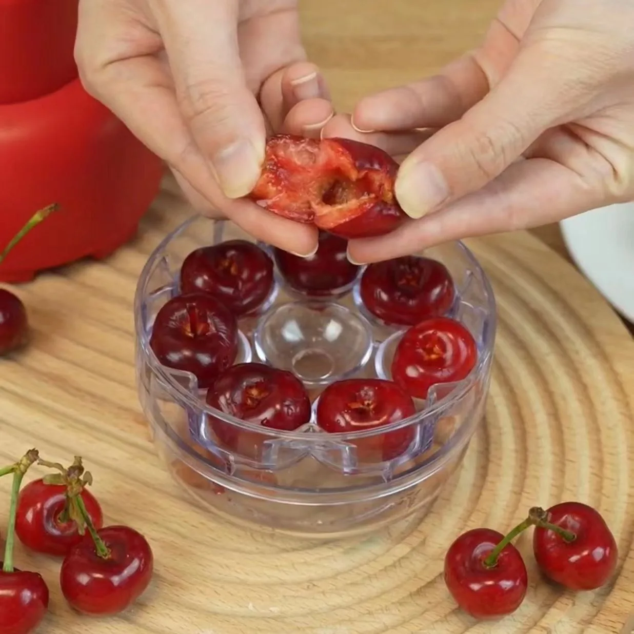 Rayshine Multi-Function Stoner Seed Removertool Cherry Pitters Corer Tool With 8 Individual Holes For Making Cherry Jam