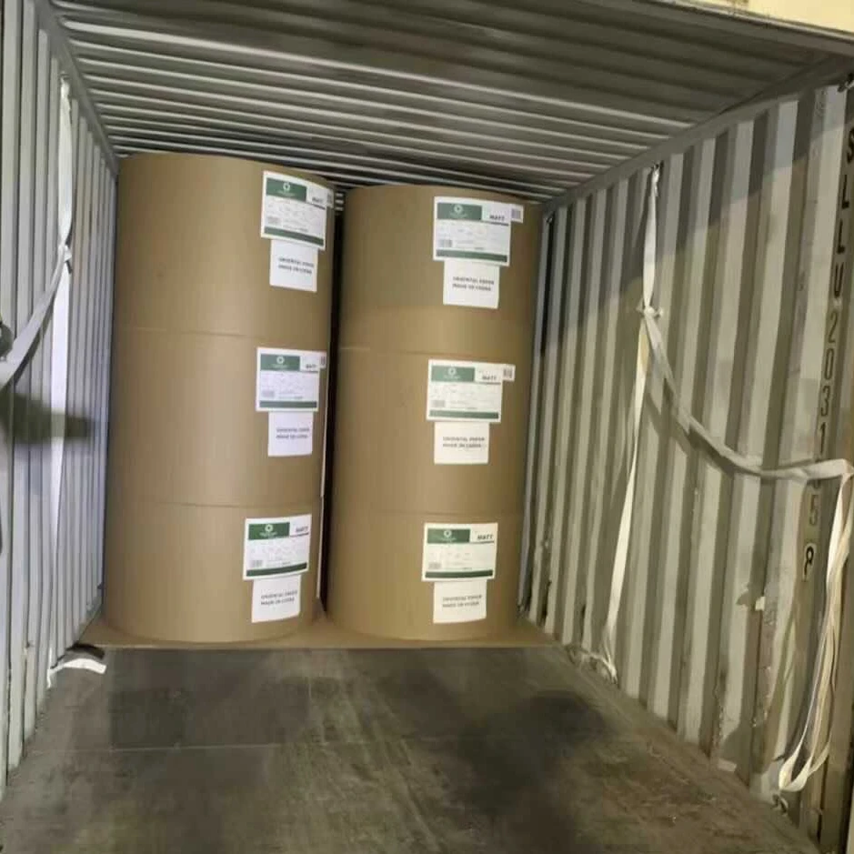 nevia quality coated art paper board roll packing