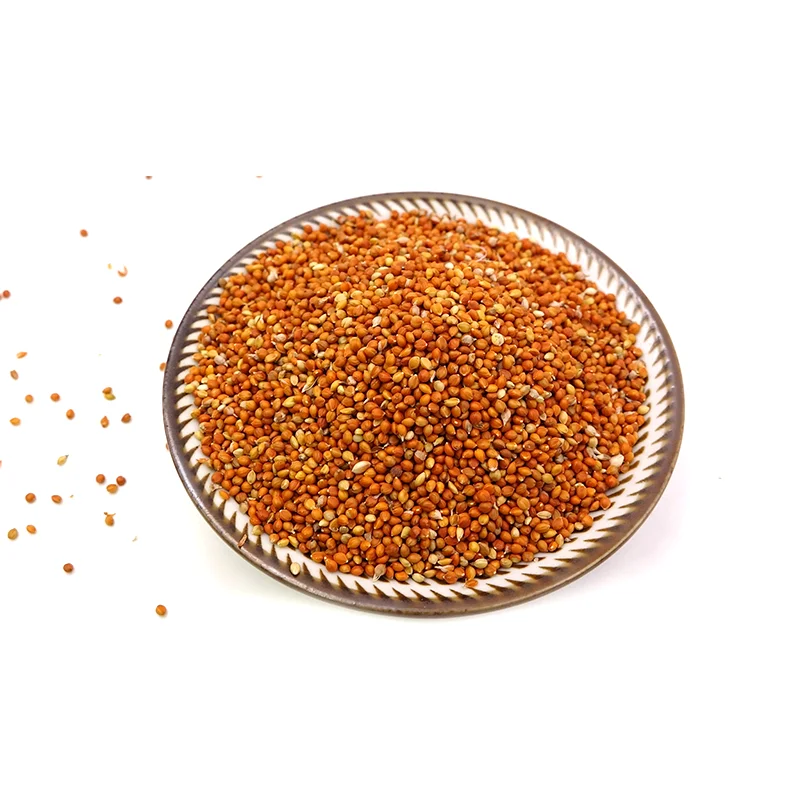 Chinese Red Broomcorn millet is native which can be eaten by birds for a cheap price
