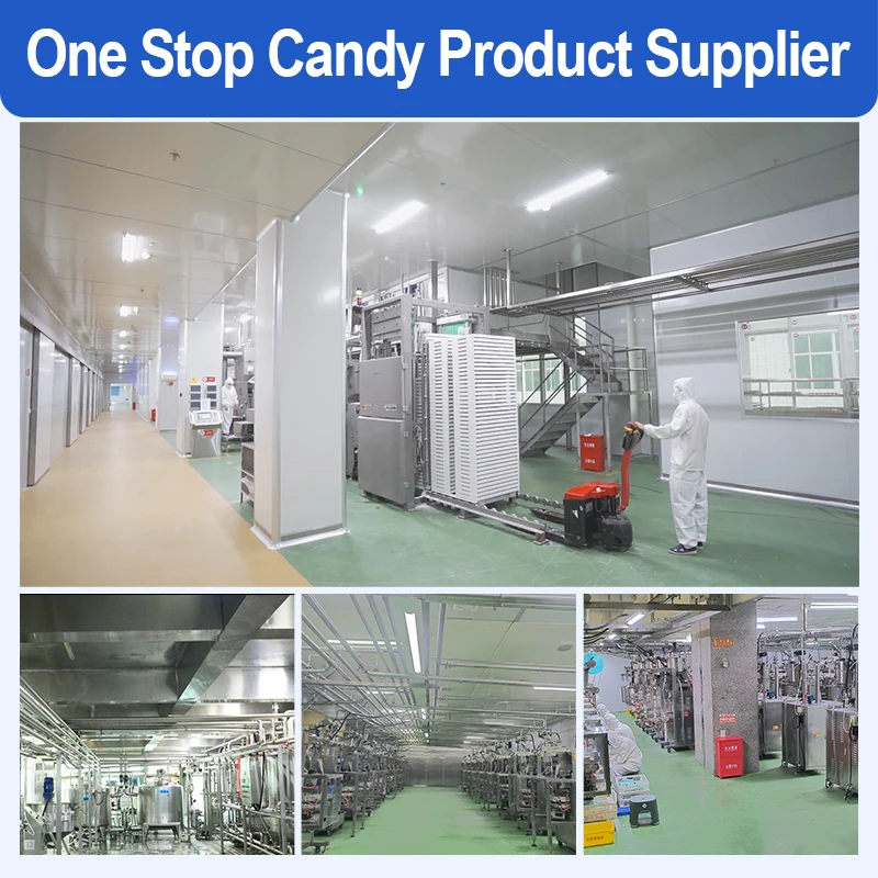 Holeywood 8g Creative New Concept Hard Candy Fruit Flavored Lollipop Sticky Acid Powder Bulk Packaged Toilet Lollipop Ball Stick