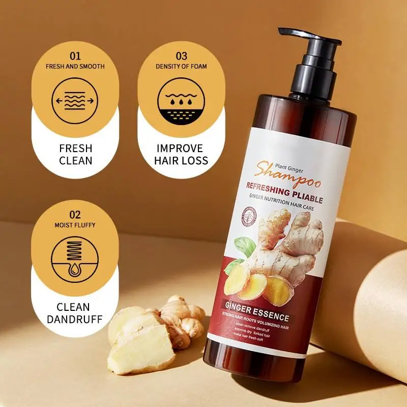 Hot Sell Hair Care Sets Ginger Shampoo and Conditioner Anti Dandruff Anti Hair Loss Hair Growth Shampoo