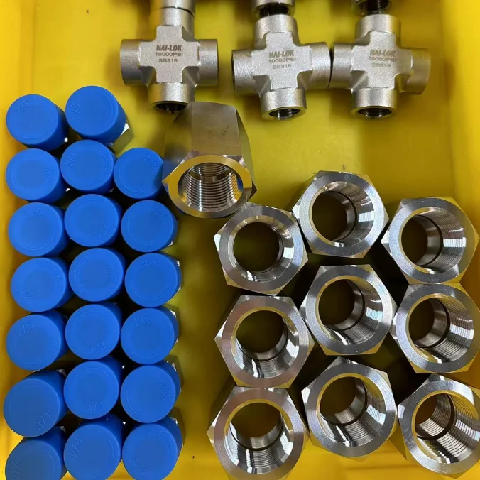 Stainless Steel 316 Pipe Fitting 2 inch Female Plug 6000psi 1 inch Hex Socket 10000psi High Pressure Thread Fittings